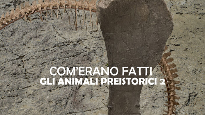 Com'erano fatti gli animali preistorici 2