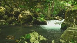 L'importanza dell'acqua thumbnail