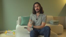 Belen, la gattina che ha cambiato la vita a Luca Gervasi thumbnail