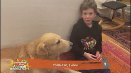 Perchè i cani quando arriviamo ti leccan tutto? thumbnail