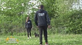 Gli allenamenti per il mondiale Agility juniores 2024 thumbnail