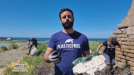 I rifiuti plastici thumbnail