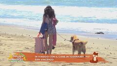 In viaggio con il cane in Toscana: San Vincenzo