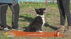 Il comando lascia