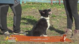 Il comando lascia thumbnail