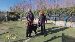La storia di Anna di Castellammare di Stabia thumbnail