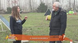 Il gioco di ricerca thumbnail