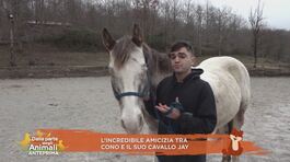 L'incredibile amicizia tra Cono e il suo cavallo Jay thumbnail