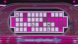 Manche musicale: Pinguini Tattici Nucleari thumbnail