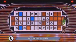 La manche del mistero: mistero tra i fiori thumbnail