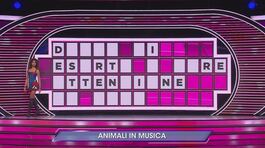 Manche musicale: animali in musica thumbnail
