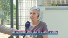 Lodi, dal canile dove si trova il cane che ha aggredito la bambina