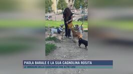 Paola Barale e la sua cagnolina Rosita thumbnail