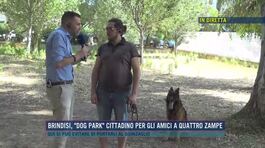 Brindisi, "dog park" cittadino per gli amici a quattro zampe thumbnail