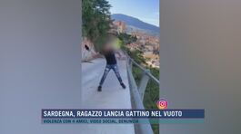 Sardegna, ragazzo lancia gattino nel vuoto thumbnail