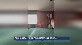 Paola Barale e la sua cagnolina Rosita thumbnail