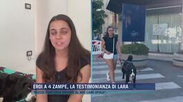Eroi a 4 zampe, la testimonianza di Lara thumbnail