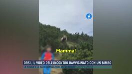 Orsi, il video dell'incontro ravvicinato con un bimbo thumbnail