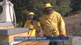 Morlupo, dal rifugio delle api thumbnail