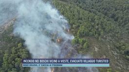 Incendio nei boschi vicino Vieste, evacuato villaggio turistico thumbnail
