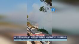 Un vasto incendio a Baia San Felice, sul Gargano thumbnail