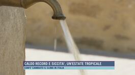 Caldo record e siccità, un'estate tropicale thumbnail