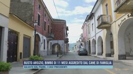 Busto Arsizio, bimbo di 11 mesi aggredito dal cane di famiglia thumbnail