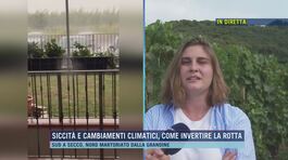 Siccità e cambiamenti climatici, grandine in Franciacorta thumbnail