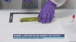 Sharon, il mistero dei due garage e dei coltelli thumbnail