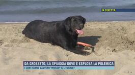 Da Grosseto, la spiaggia dove è esplosa la polemica thumbnail
