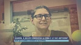 Omicidio Sharon Verzeni, il killer aveva pianificato il delitto? thumbnail
