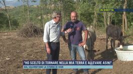 "Ho scelto di tornare nella mia terra e allevare asini" thumbnail