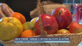 Cibo di stagione, cambiano le abitudini dell'estate all'autunno thumbnail