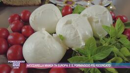 Mozzarella mania in Europa: è il formaggio più ricercato thumbnail