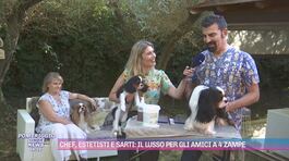 Chef, estetisti e sarti: il lusso per gli amici a 4 zampe thumbnail