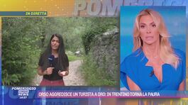 Orso aggredisce un turista a Dro: in Trentino torna la paura thumbnail