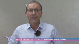 Orsi in Trentino, tutte le volte che hanno aggredito l'uomo thumbnail