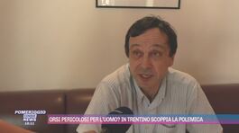 Orsi pericolosi per l'uomo? In Trentino scoppia la polemica thumbnail