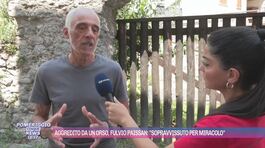 Aggredito da un orso, Fulvio Paissan: "Sopravvissuto per miracolo" thumbnail