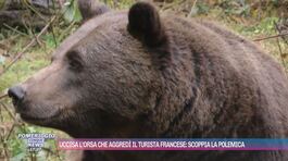 Uccisa l'orsa che aggredì il turista francese thumbnail