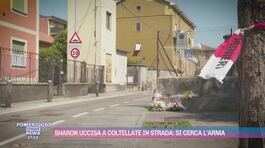 Sharon Verzeni uccisa a coltellate in strada: si cerca l'arma thumbnail