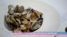 Caro-vongole, prezzi alle stelle per colpa del granchio blu thumbnail