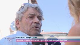 Sharon Verzeni, il supertestimone: "Quella sera fumavo al balcone" thumbnail