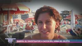 Sharon Verzeni, gli investigatori a caccia dell'arma del delitto thumbnail