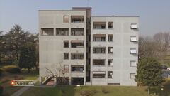 Casa "green "