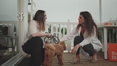 Leo: i consigli del veterinario