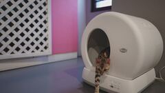 La lettiera autopulente per i gatti
