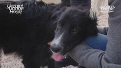 Doris - Adotta un Amico