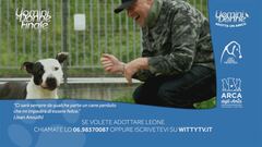 Leone - Adotta un amico