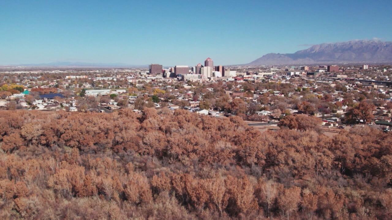 Alieni: I casi riaperti